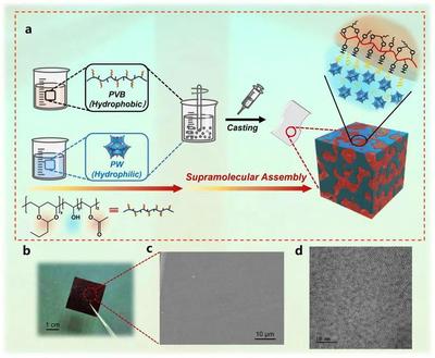华南理工殷盼超团队Angew: 超分子络合助力高功率密度氢燃料电池无氟质子交换膜复合材料
